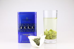 CCTV國(guó)家品牌計(jì)劃扶貧推薦產(chǎn)品 品味古丈毛尖，助力湘西振興——探訪(fǎng)古陽(yáng)河75g精品古丈毛尖